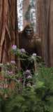 Squatch Metalworks -  Bigfoot Gifts Sasquatch - Postcard (10 pack)  - SMW